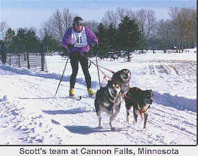 Scott Dahlquist 's skijoring team at the Cannon Falls, MN Race
