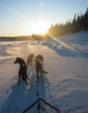 Kathy Beaupre - January 3rd, 2010, run on the Hay River, near Enterprise, NT