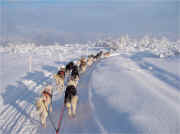 Karen Ramstead  chasing snow at Sheep Mt Lodge 