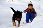 TC Wait Photo: 6-yr old Anja and her dog Shera skijoring down the trails near Willow AK